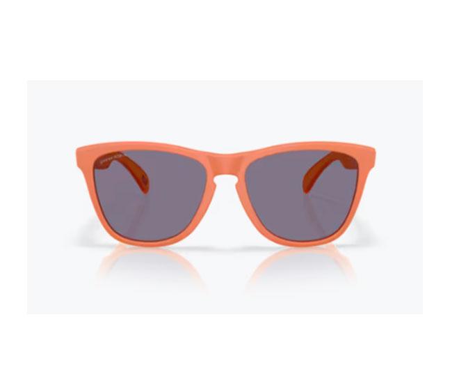 Pareja de Lentes de Recambio Oakley OO9013 Frogsking Prizm Grey 