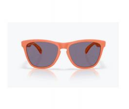 Pareja de Lentes de Recambio Oakley OO9013 Frogsking Prizm Grey 