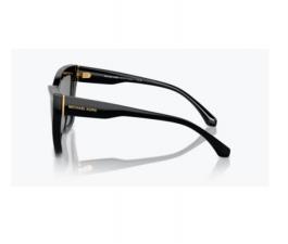 Pair of Replacement Temples Michael Kors MK2211U 30053F Pair of Replacement Temples Michael Kors MK2211U 30053F