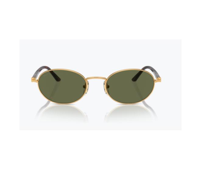 Pareja de Lentes de Recambio Persol PO1018S IDA 515/58