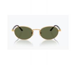 Pareja de Lentes de Recambio Persol PO1018S IDA 515/58