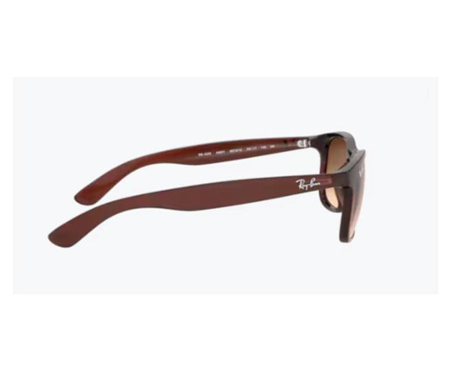 Pareja de Varillas de Recambio Ray-Ban RB4202 607313