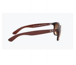 Pareja de Varillas de Recambio Ray-Ban RB4202 607313