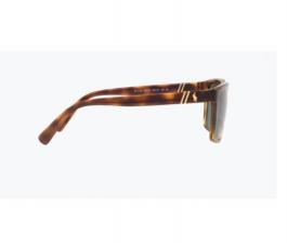 Pareja de Varillas Polo Ralph Lauren PH4133 500371