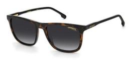 CARRERA 261/S