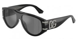 DG4499