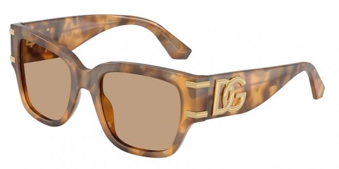 DG4563 