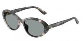 DG4570 
