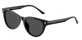 JC5043D 