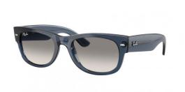 RB0832S MEGA WAYFARER II