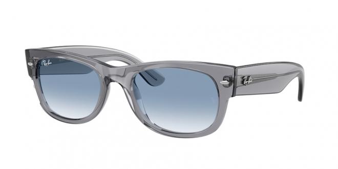 RB0832S MEGA WAYFARER II