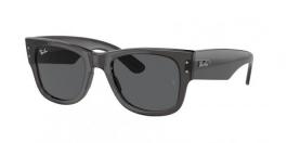 RB0840S MEGA WAYFARER