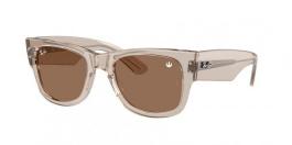 RB0840S MEGA WAYFARER