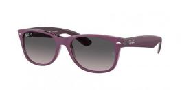 RB2132 NEW WAYFARER