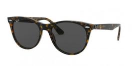 RB2185 WAYFARER II