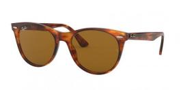 RB2185 WAYFARER II