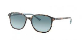 RB2193 LEONARD