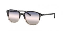 RB2193 LEONARD