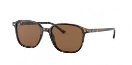 RB2193 LEONARD