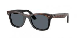 RB2240 WAYFARER