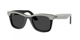 RB2240 WAYFARER