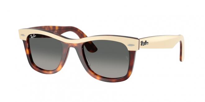 RB2240 WAYFARER