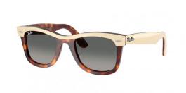 RB2240 WAYFARER