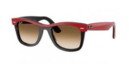 RB2240 WAYFARER
