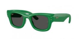 RB4940 WAYFARER PUFFER