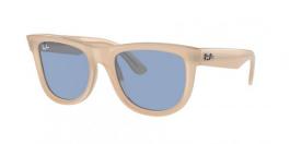 RBR0502S WAYFARER REVERSE