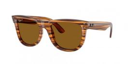 RBR0502S WAYFARER REVERSE