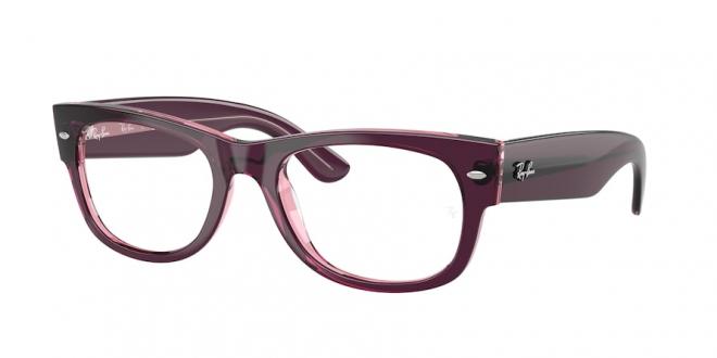 RX0832V MEGA WAYFARER II