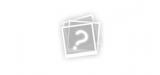 003 (L7) 003 (L7)