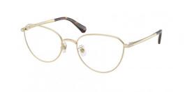 SK1029D 