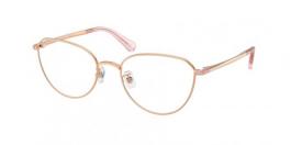 SK1029D 