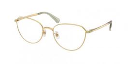 SK1029D 