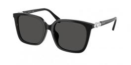 SK6053D 