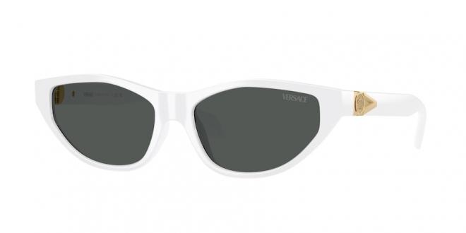 VE4491U 