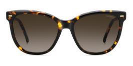CARRERA 3043/S